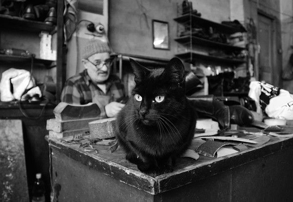 Дмитрий Шильников