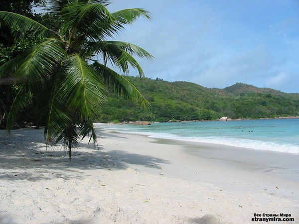 Анастасия Федина