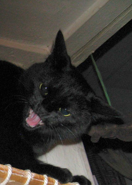 Юрий Хватов