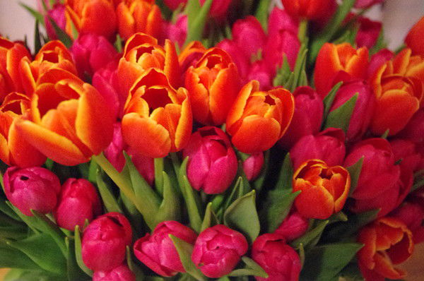 Лиля Урманцева