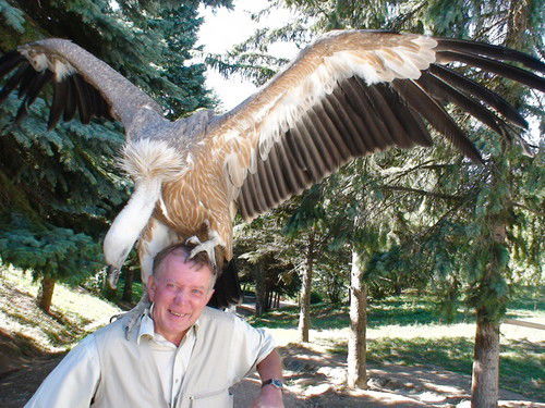 Александр Койдан