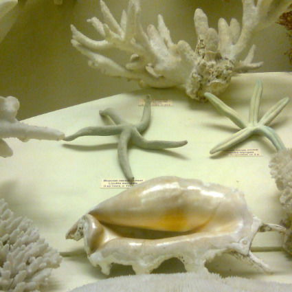 Октябрина Лесная