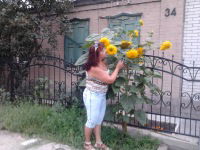 Светлана Ляшенко