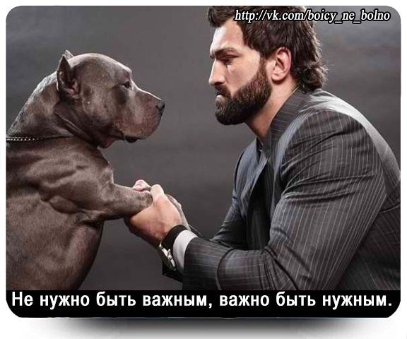 Шорух Ахмад