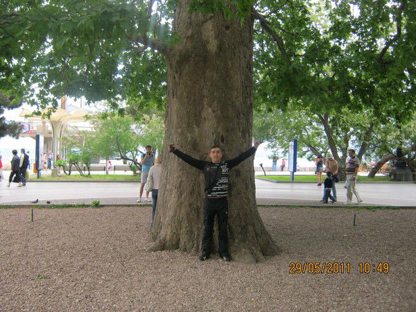 Андрей Богомол