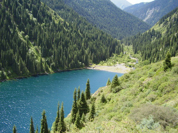 Наталья Популова