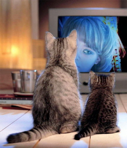 Гульмаржан Бектемирова