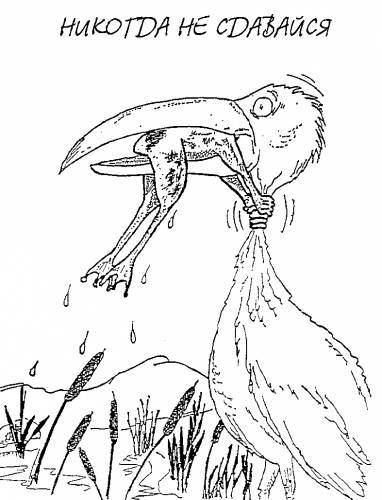 Виктория Удовиченко