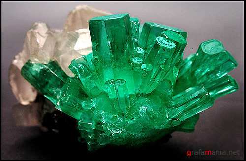 Евгений Тарасов