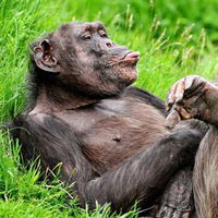 Вадим Иванов