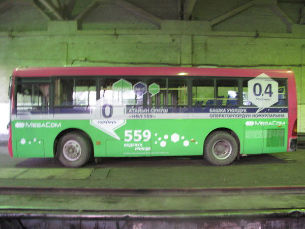 Алмаз Теломушев