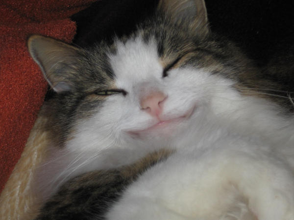 Татьяна Кравцова