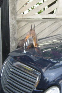 Вадим Сидорович