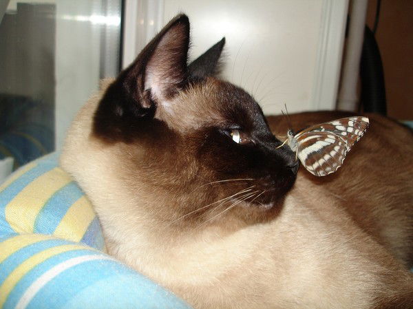 Валерий Б......в