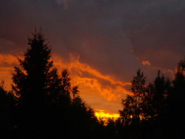 Александр Липецкий