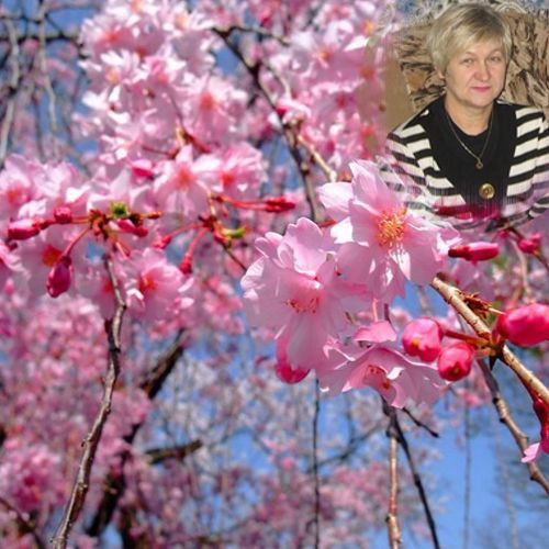 Татьяна Голинко