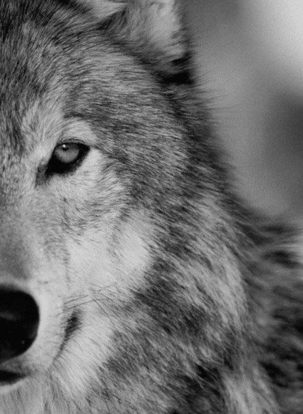 Анастасия ****