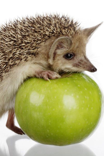 Марина Федорова