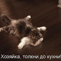 Илья Цыганков