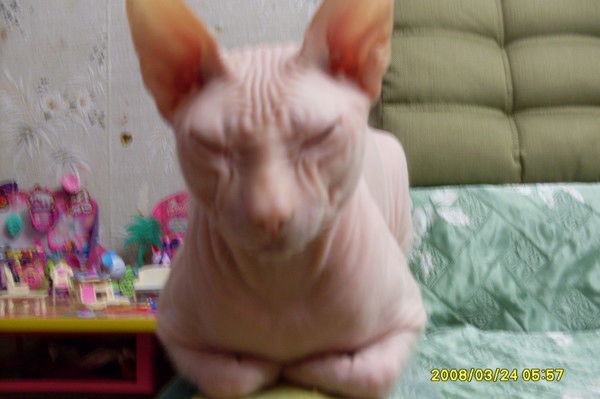 Ульяна Юдина