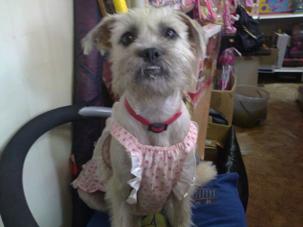 Денис Василов