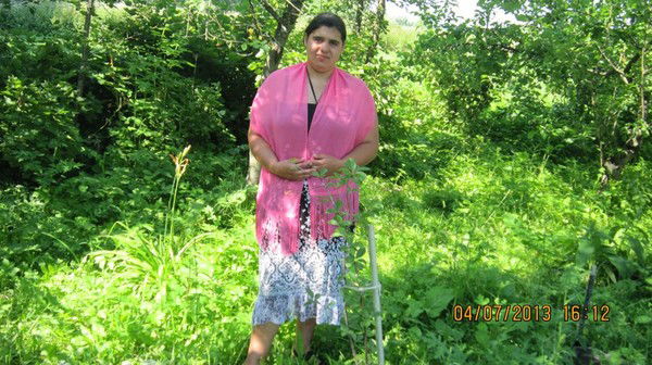 Анастасия Грибова