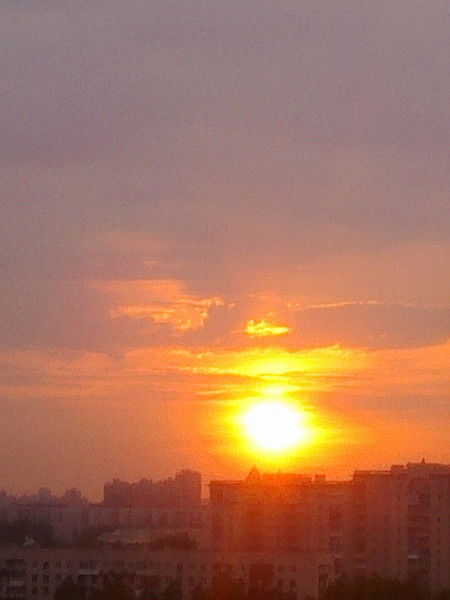 Дмитрий Гвоздецкий