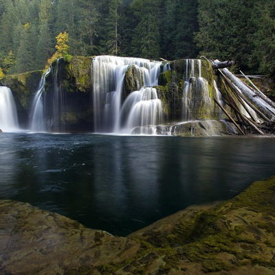 Заур Асадуллаев