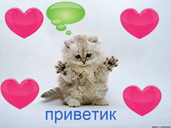 Дарена Домнина