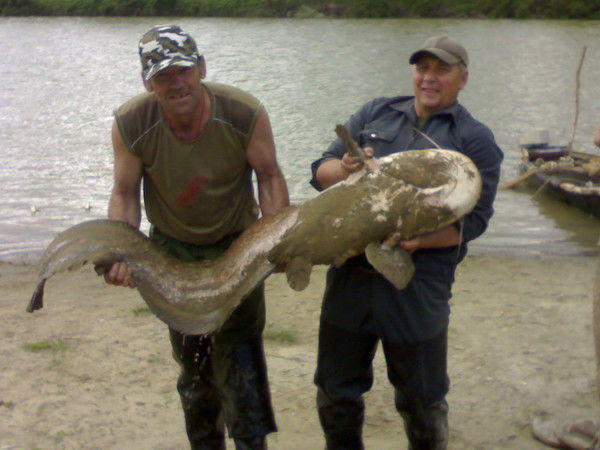 Александр Рудюк