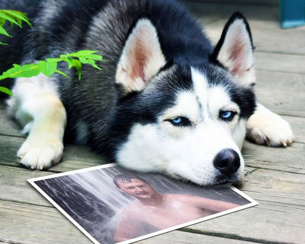 Евгений Оленич