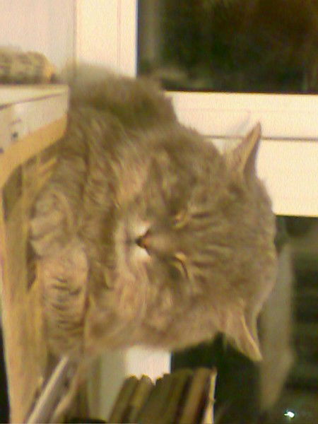 Андрон Тюменский