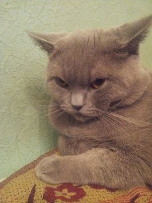 Артур Баласанян