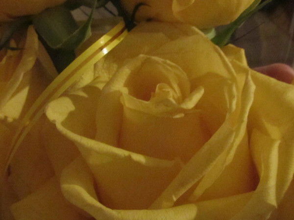 Наталья Чванова