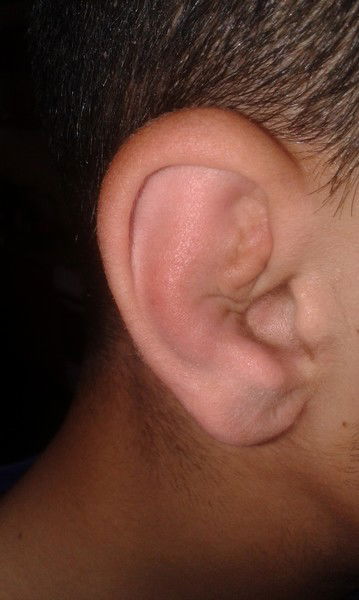 Ибрагим Мамедов