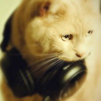 Вова Алеков