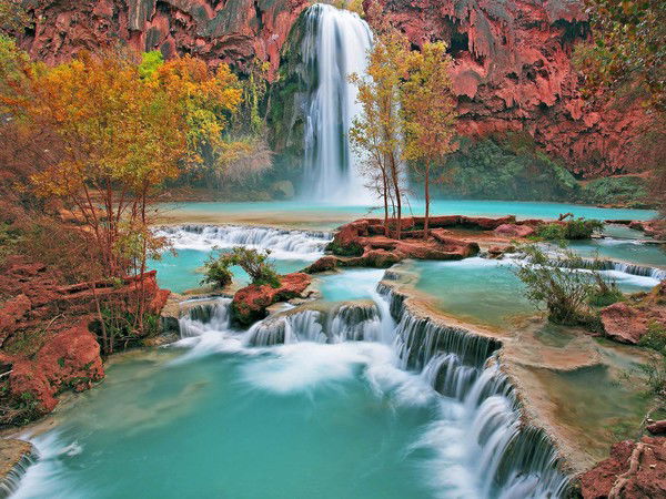 Балан Лариса