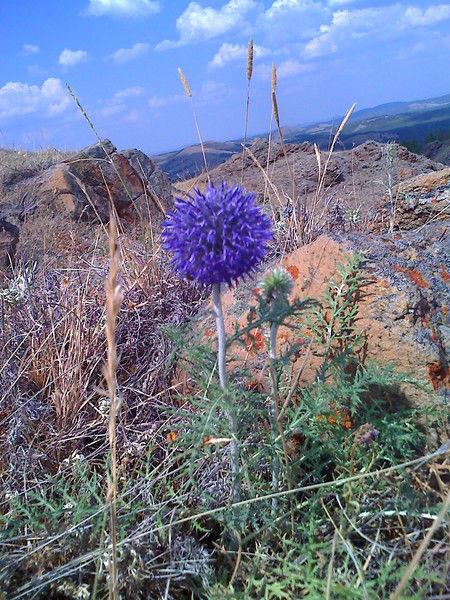Галина Галина