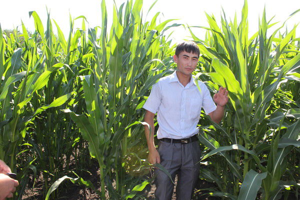 Айдар Аргынбаев