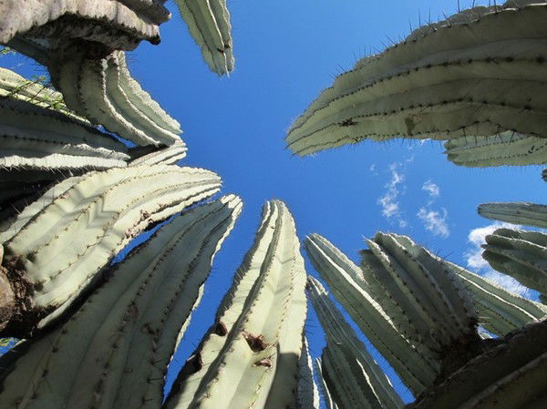 Владимир Черенков