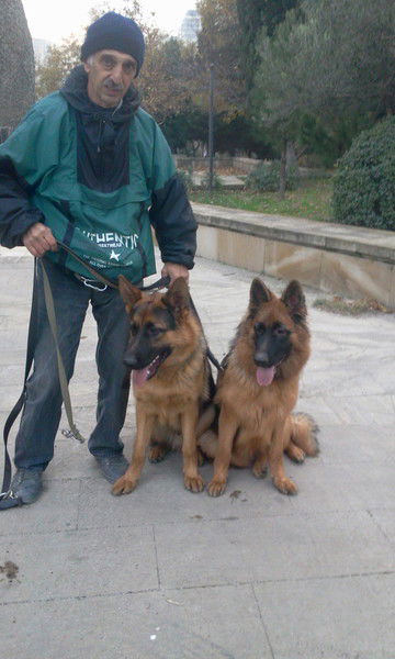 Фаик Мирзоев