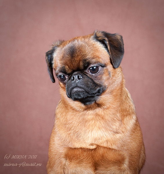 Ольга Пазинич