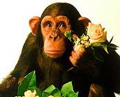 Петро Ткачук