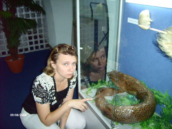 Елена Перелыгина