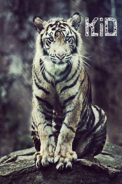 Кирилл Козик