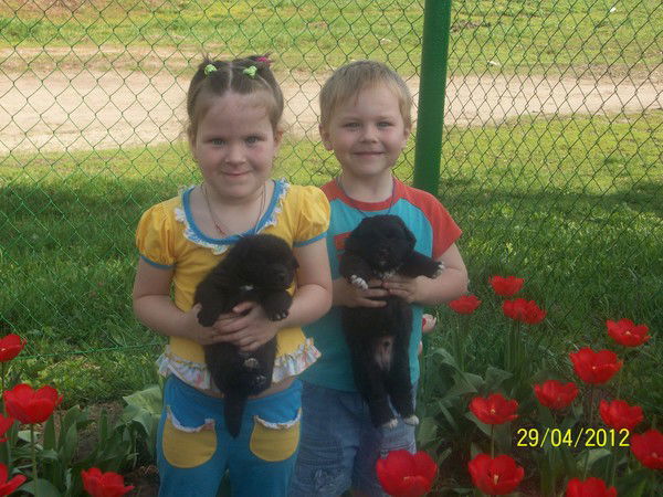 Елена Ситникова