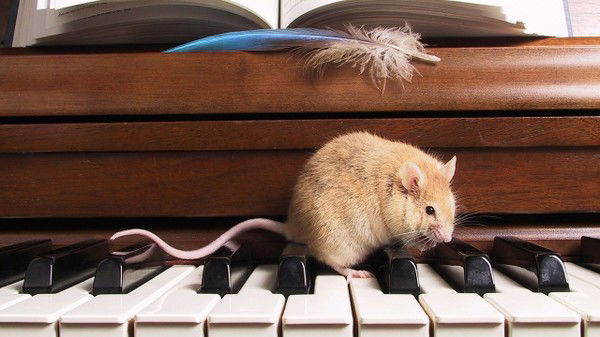 Ахмарал Кинжибаева