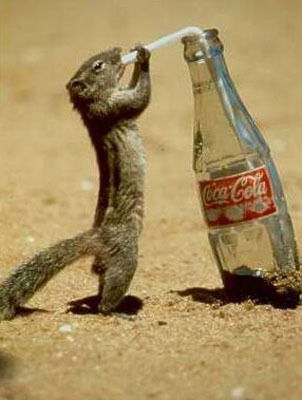 Дмитрий Малашев