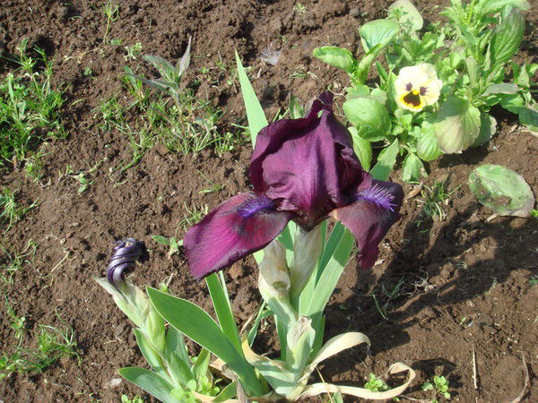 Ольга Третьяк