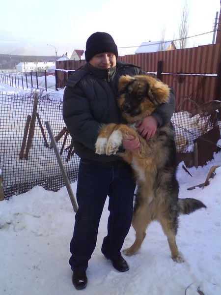 Алексей Мясников